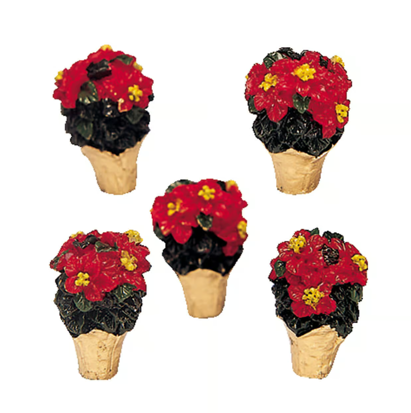 Poinsettias, lot de 5
