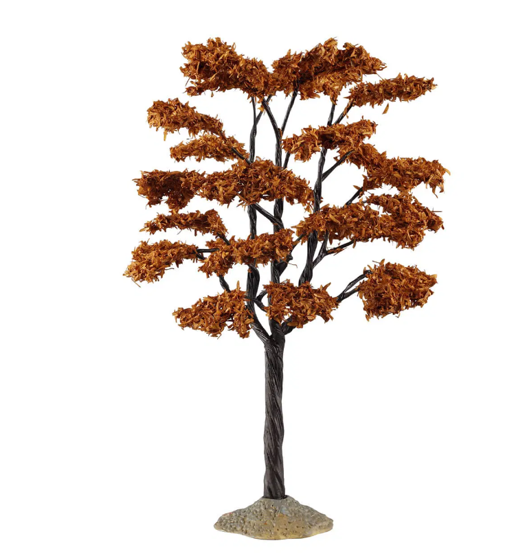 Grand arbre Yellowwood